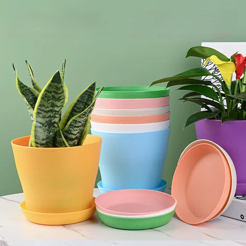 Vaso Colorido para Plantas e Suculentas Plástico Resistente com Prato