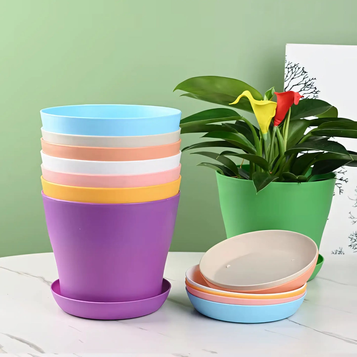 Vaso Colorido para Plantas e Suculentas Plástico Resistente com Prato