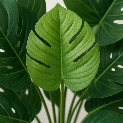 Planta Artificial Monstera Verde Decorativa para Decoração