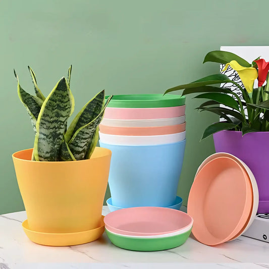 Vaso Colorido para Plantas e Suculentas Plástico Resistente com Prato