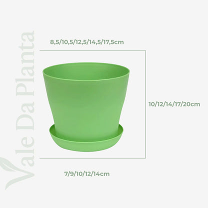 Vaso Colorido para Plantas e Suculentas Plástico Resistente com Prato