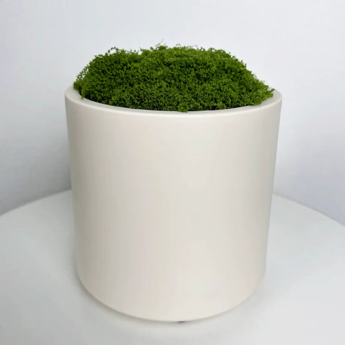 Vaso de Planta Decorativo Branco Minimalista Imitação Cerâmica Plástico Resistente