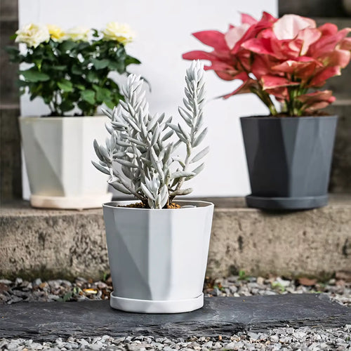 Vaso de Planta Pequeno Decorativo Plástico Resistente com Prato