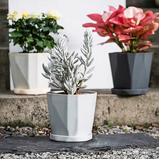 Vaso de Planta Pequeno Decorativo Plástico Resistente com Prato