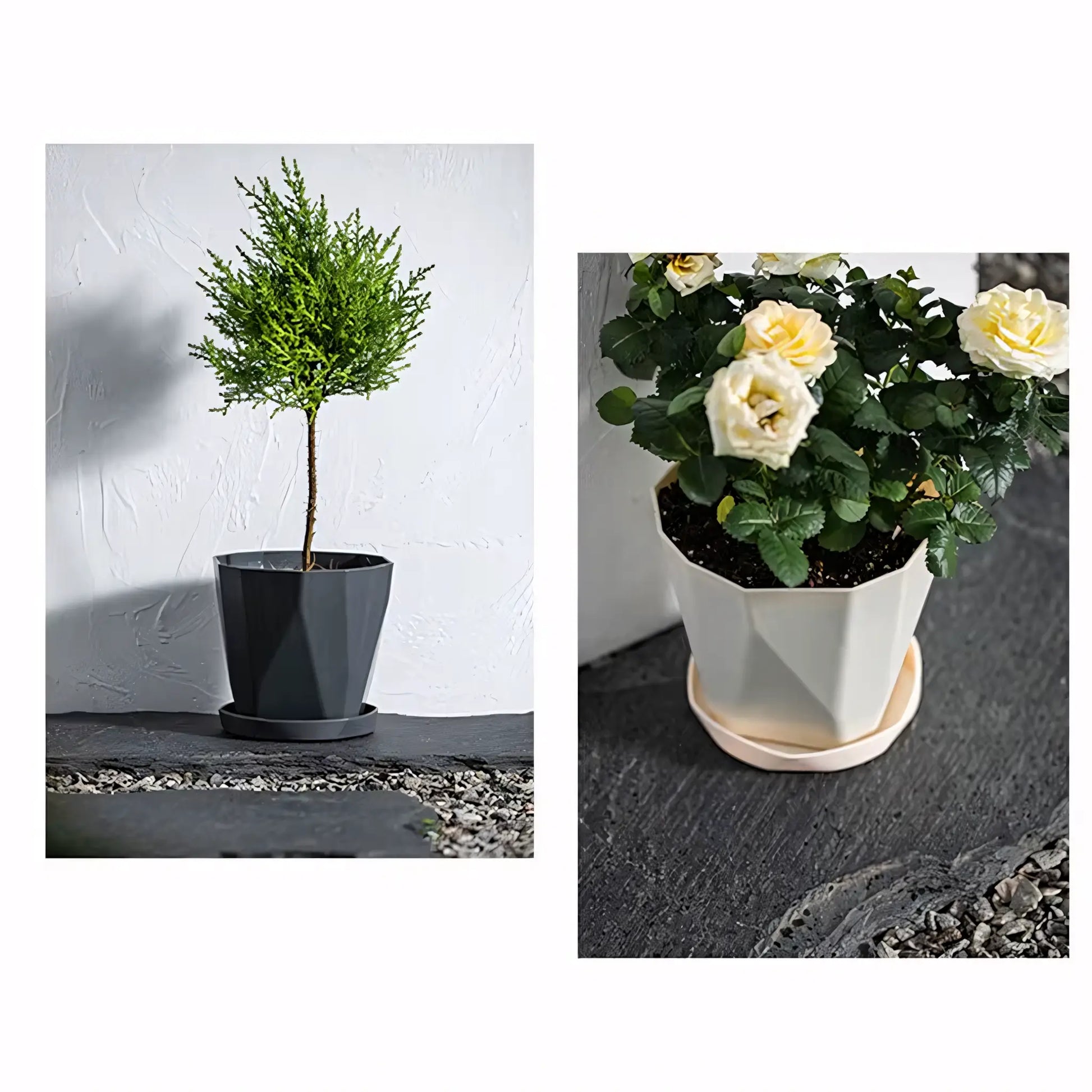 Vaso de Planta Pequeno Decorativo Plástico Resistente com Prato