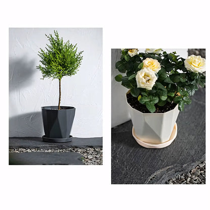Vaso de Planta Pequeno Decorativo Plástico Resistente com Prato