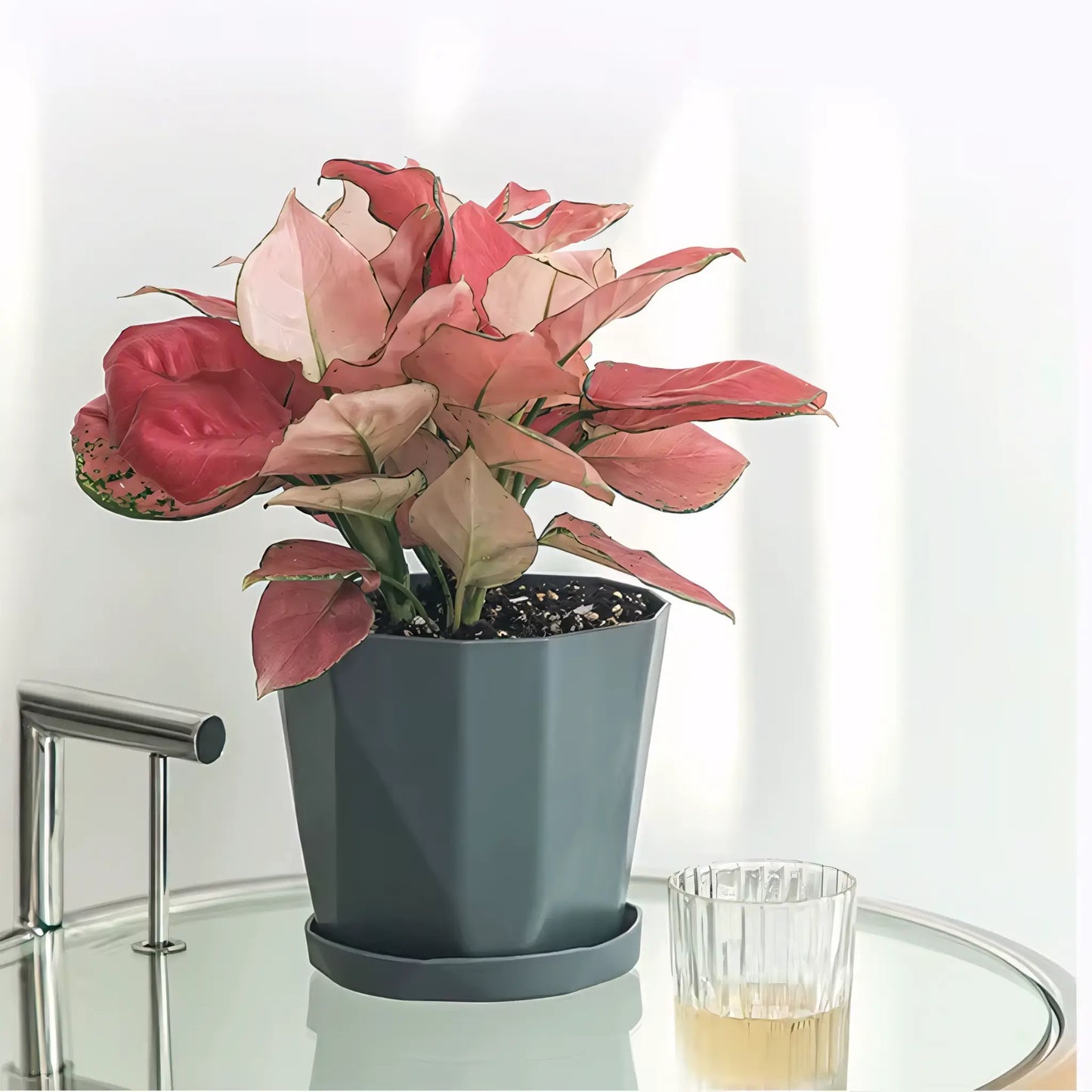 Vaso de Planta Pequeno Decorativo Plástico Resistente com Prato