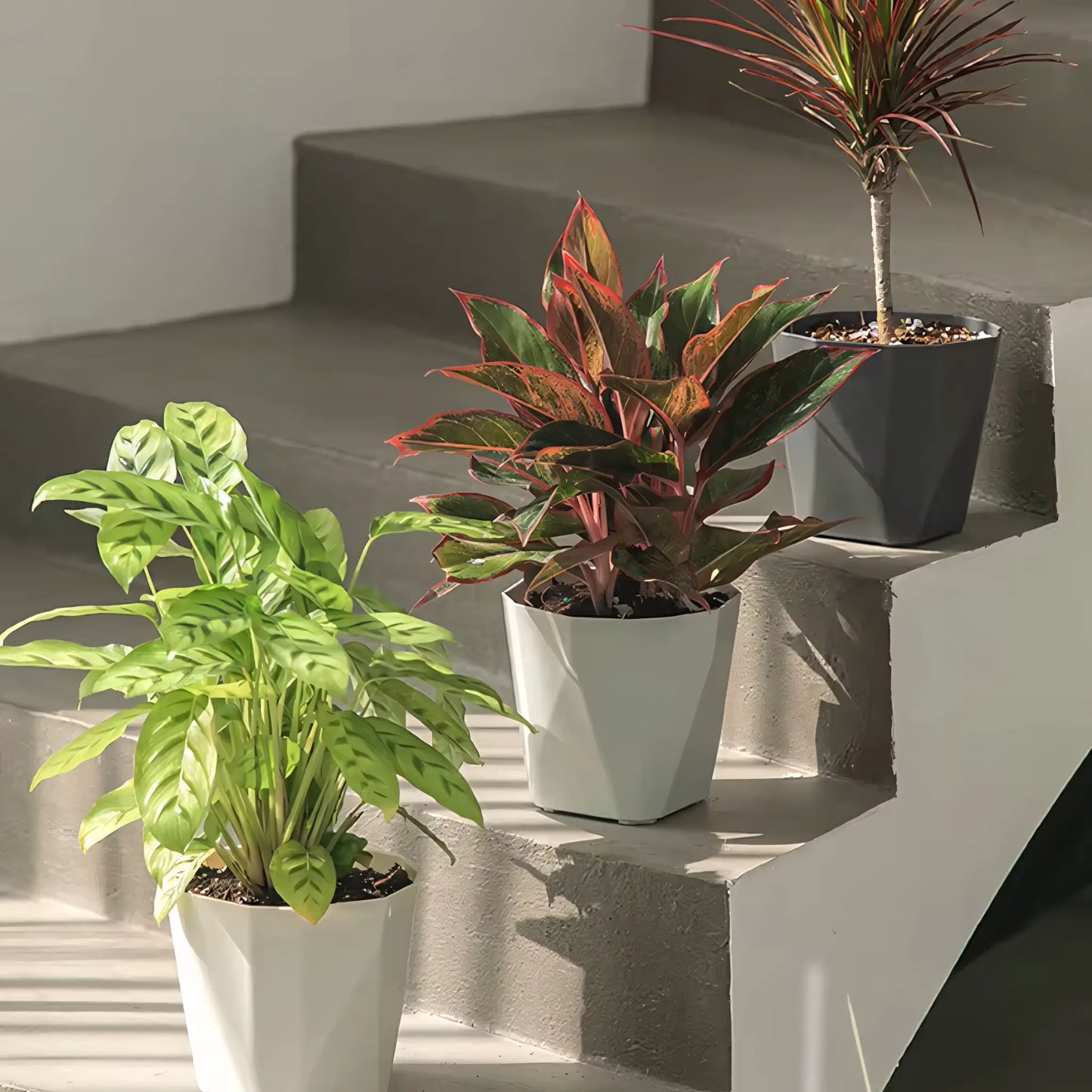 Vaso de Planta Pequeno Decorativo Plástico Resistente com Prato